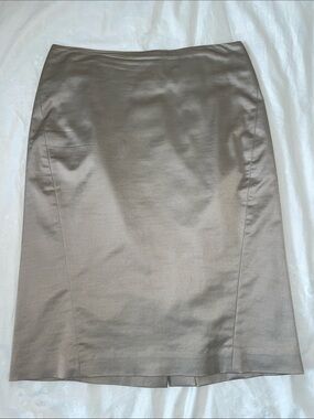 Ann Taylor Taupe Pencil Skirt - Sleek Office Staple